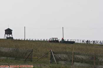 IMG_ (10761)